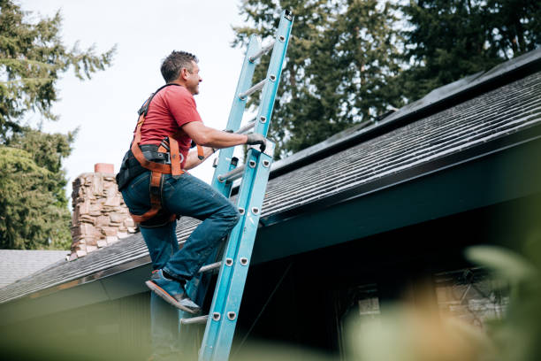 Best Roof Moss and Algae Removal  in Scotts Valley, CA